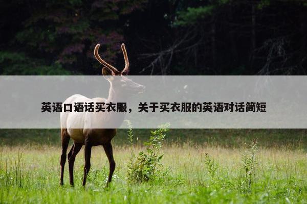 英语口语话买衣服，关于买衣服的英语对话简短