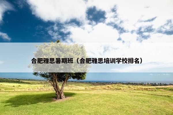 合肥雅思暑期班（合肥雅思培训学校排名）