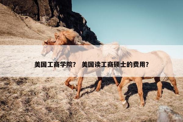 美国工商学院？ 美国读工商硕士的费用？
