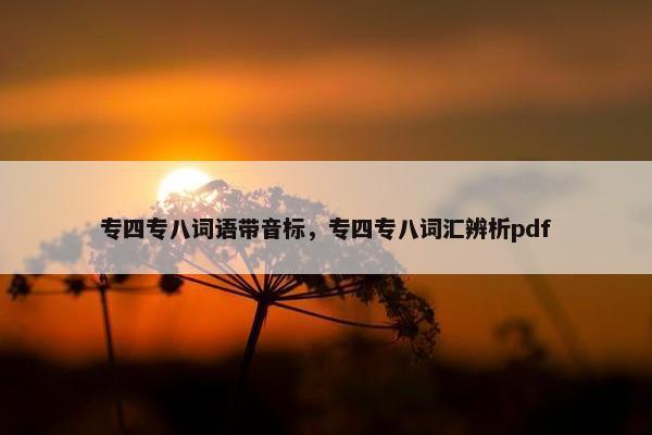 专四专八词语带音标，专四专八词汇辨析pdf