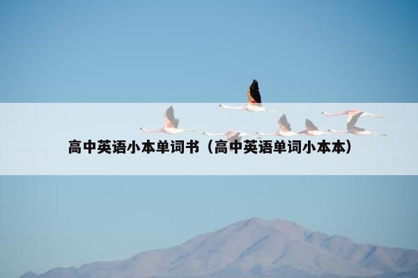 高中英语小本单词书（高中英语单词小本本）