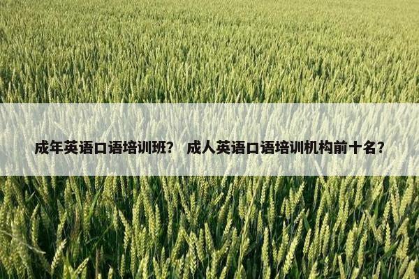 成年英语口语培训班？ 成人英语口语培训机构前十名？