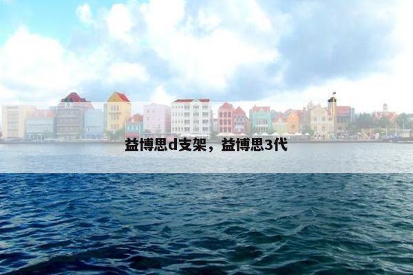 益博思d支架，益博思3代