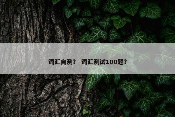 词汇自测？ 词汇测试100题？