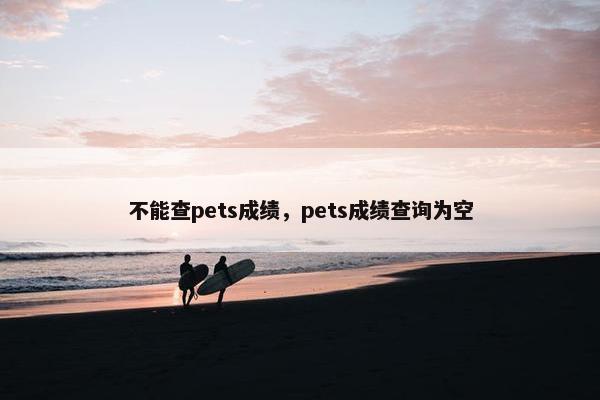 不能查pets成绩，pets成绩查询为空