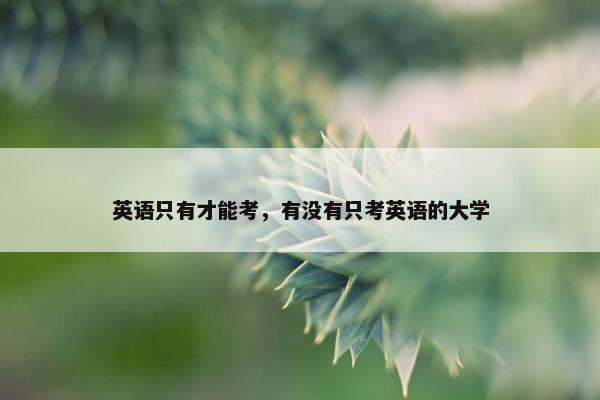 英语只有才能考，有没有只考英语的大学