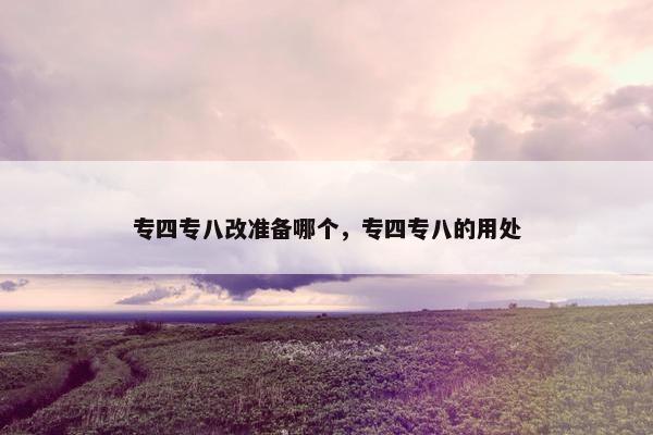 专四专八改准备哪个，专四专八的用处