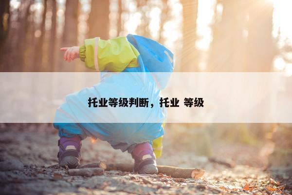 托业等级判断，托业 等级