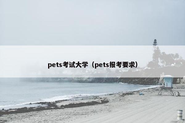pets考试大学（pets报考要求）