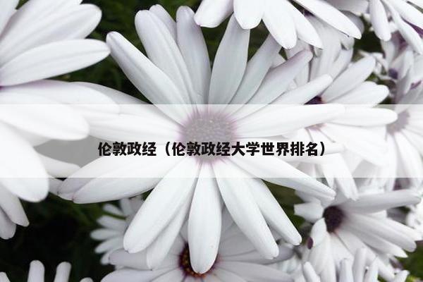 伦敦政经（伦敦政经大学世界排名）