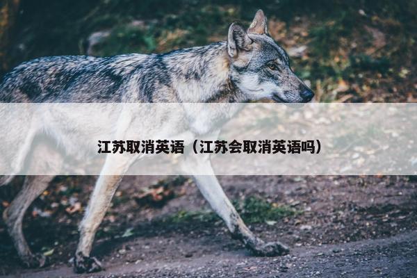 江苏取消英语（江苏会取消英语吗）