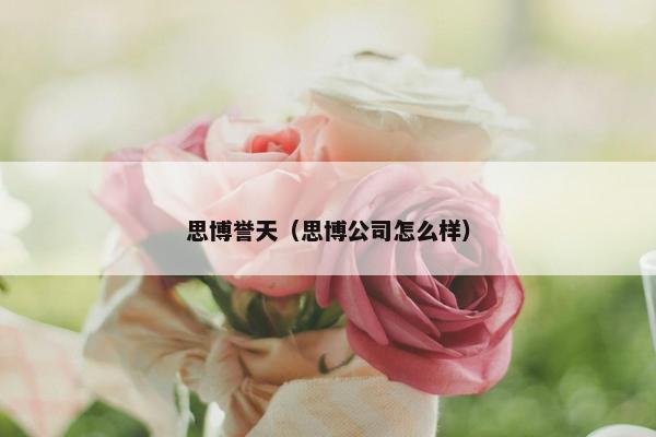 思博誉天（思博公司怎么样）