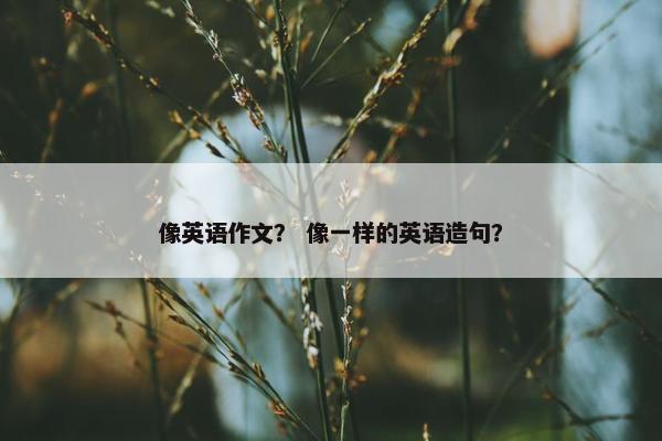 像英语作文？ 像一样的英语造句？