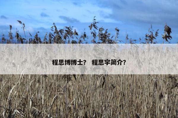 程思博博士？ 程思宇简介？