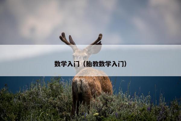 数学入门（胎教数学入门）