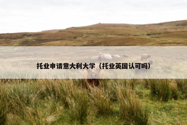 托业申请意大利大学（托业英国认可吗）