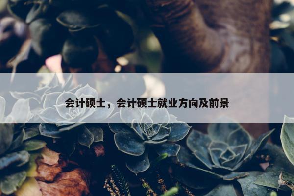 会计硕士，会计硕士就业方向及前景