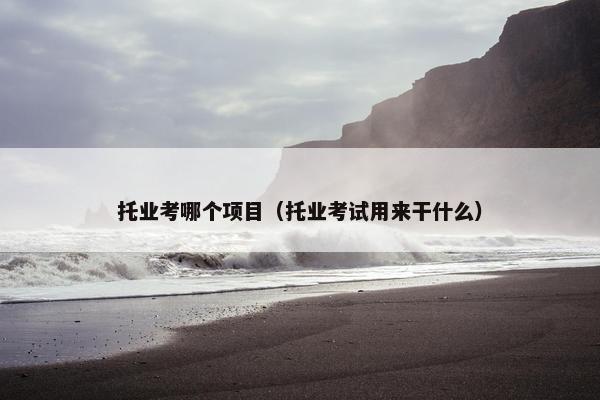 托业考哪个项目（托业考试用来干什么）