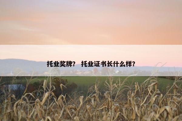 托业奖牌？ 托业证书长什么样？