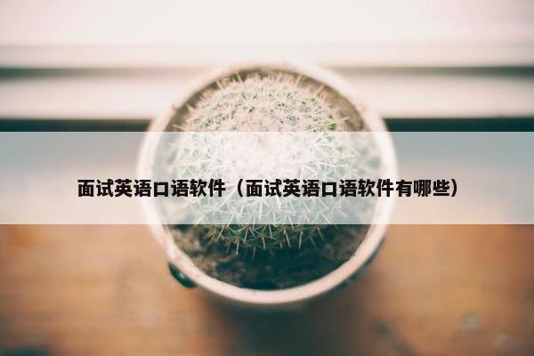 面试英语口语软件（面试英语口语软件有哪些）