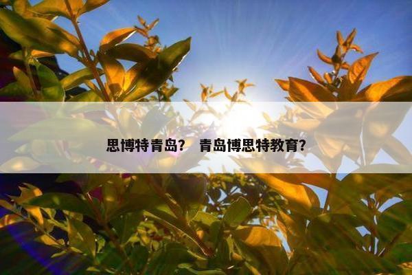思博特青岛？ 青岛博思特教育？