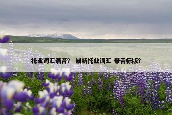 托业词汇语音？ 最新托业词汇 带音标版？