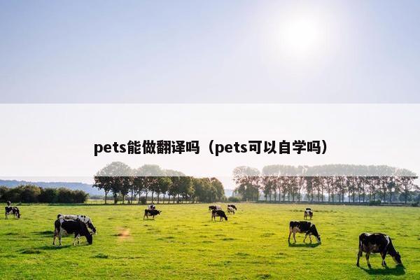 pets能做翻译吗（pets可以自学吗）