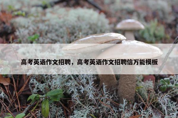 高考英语作文招聘，高考英语作文招聘信万能模板