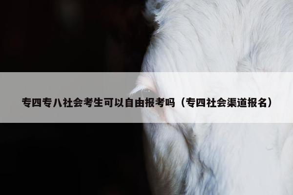 专四专八社会考生可以自由报考吗（专四社会渠道报名）