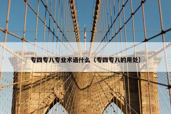 专四专八专业术语什么（专四专八的用处）