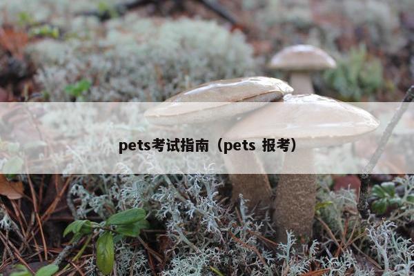 pets考试指南（pets 报考）
