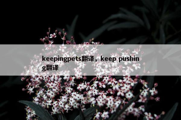 keepingpets翻译，keep pushing翻译