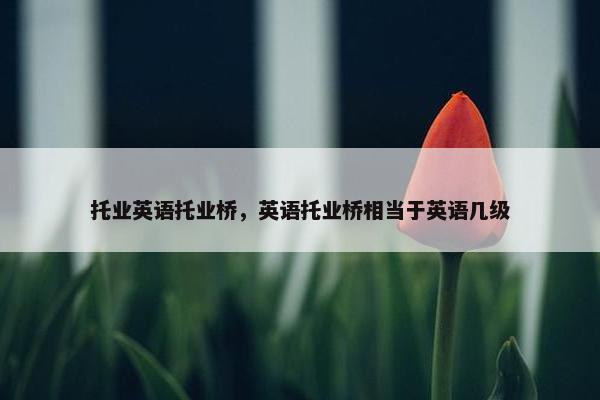 托业英语托业桥，英语托业桥相当于英语几级