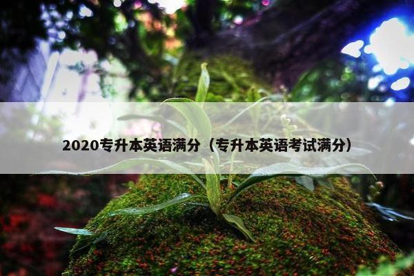 2020专升本英语满分（专升本英语考试满分）