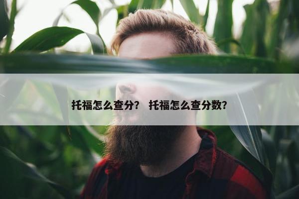 托福怎么查分？ 托福怎么查分数？