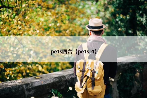 pets四六（pets 4）