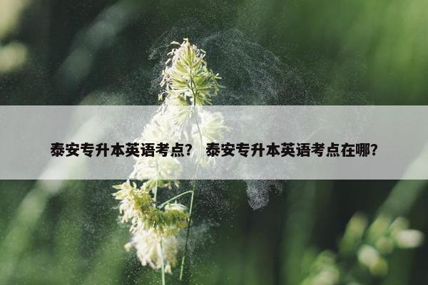泰安专升本英语考点？ 泰安专升本英语考点在哪？