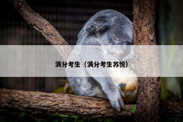 满分考生（满分考生苏悦）