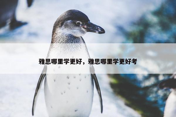 雅思哪里学更好，雅思哪里学更好考