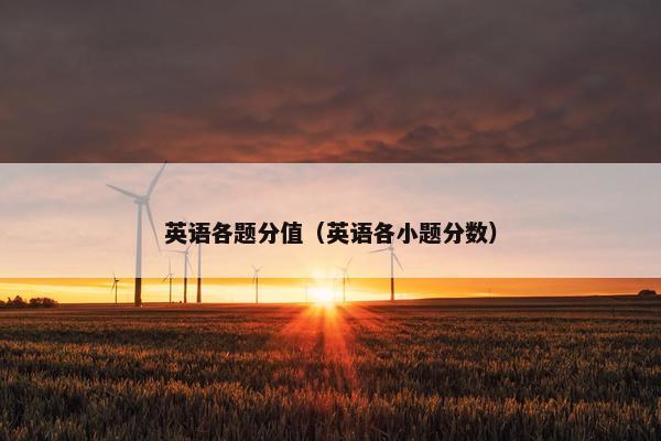 英语各题分值（英语各小题分数）