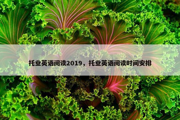 托业英语阅读2019，托业英语阅读时间安排