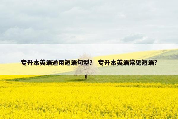 专升本英语通用短语句型？ 专升本英语常见短语？