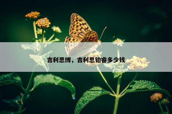 吉利思博，吉利思铂睿多少钱