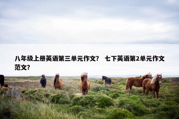 八年级上册英语第三单元作文？ 七下英语第2单元作文范文？