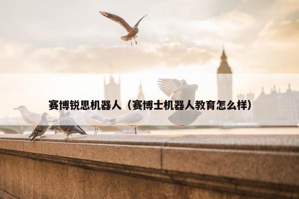 赛博锐思机器人（赛博士机器人教育怎么样）