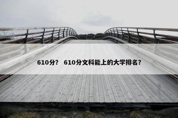 610分？ 610分文科能上的大学排名？