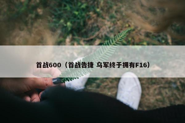 首战600（首战告捷 乌军终于拥有F16）