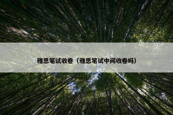 雅思笔试收卷（雅思笔试中间收卷吗）
