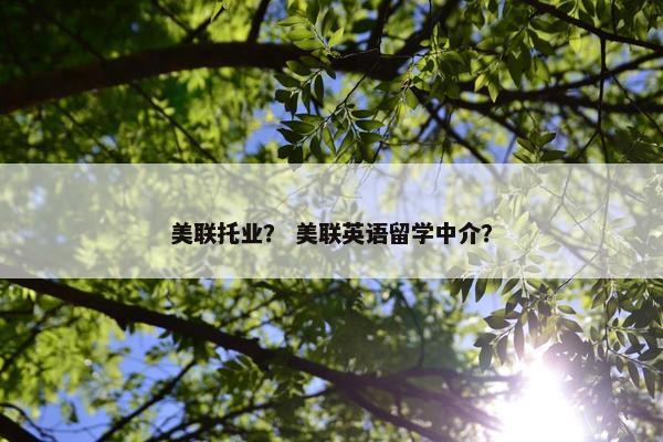 美联托业？ 美联英语留学中介？