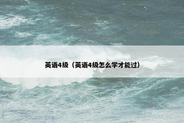 英语4级（英语4级怎么学才能过）